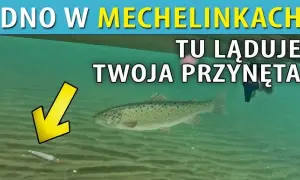 Mechelinki: Gdzie zjeść? Najlepsze ryby i widoki na Zatokę.
