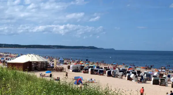 Plaża nad Bałtykiem z leżakami, parasolami i ludźmi kąpiącymi się w morzu.