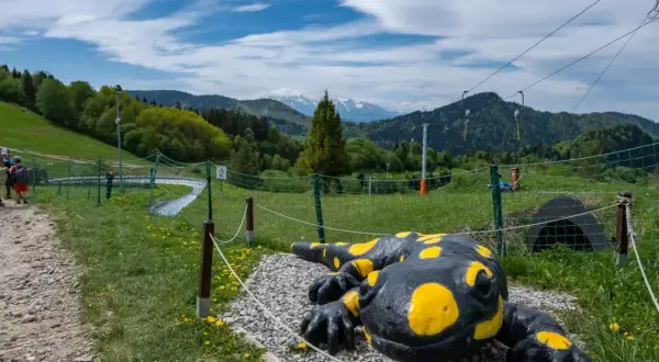 Krościenko nad Dunajcem: Odkryj Pieniny! Szlaki, spływ i atrakcje