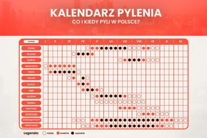 Co teraz pyli w Szczecinie? Aktualny raport, kalendarz i porady!